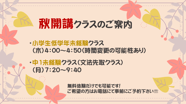 英語が大好きになる サイエイ インターナショナル 英語はスポーツだ 桶川校